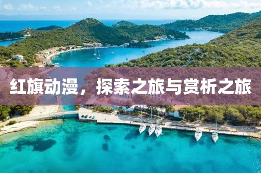 红旗动漫，探索之旅与赏析之旅