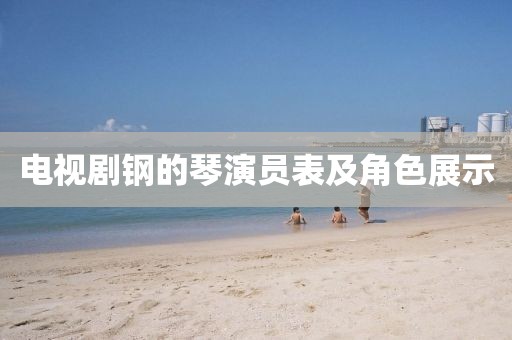 电视剧钢的琴演员表及角色展示