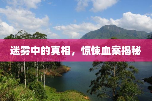 迷雾中的真相，惊悚血案揭秘