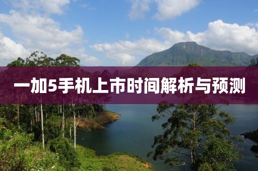 一加5手机上市时间解析与预测