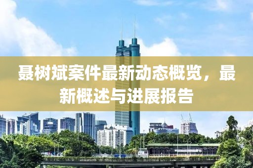 聂树斌案件最新动态概览，最新概述与进展报告
