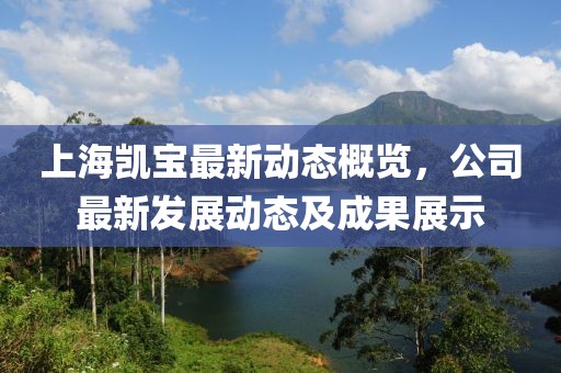 上海凯宝最新动态概览，公司最新发展动态及成果展示