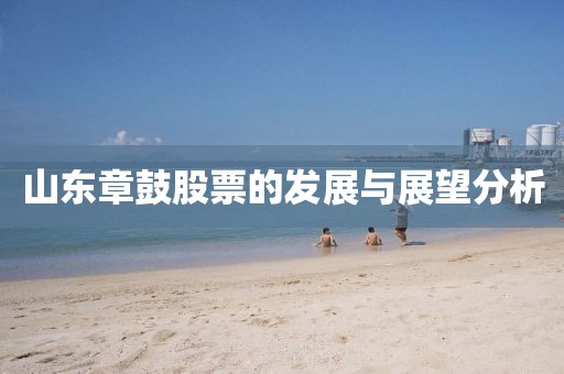 山东章鼓股票的发展与展望分析