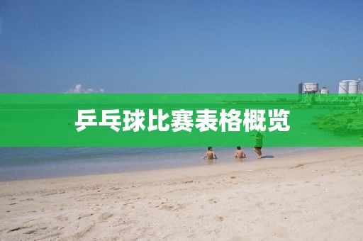 乒乓球比赛表格概览