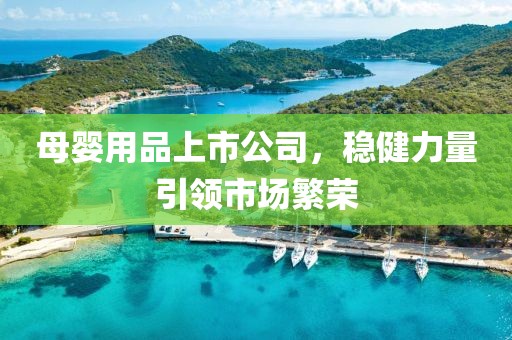 母婴用品上市公司，稳健力量引领市场繁荣