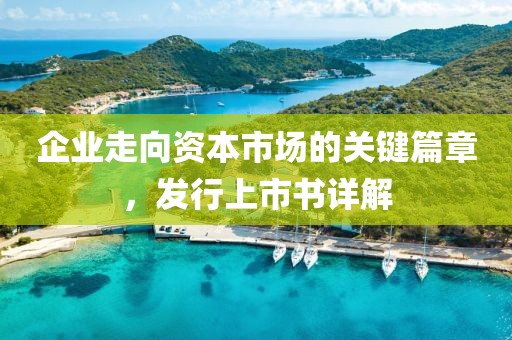 企业走向资本市场的关键篇章，发行上市书详解
