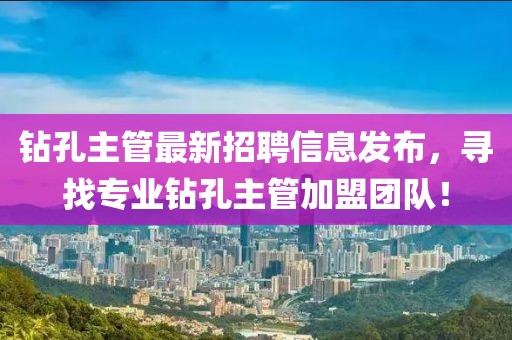 钻孔主管最新招聘信息发布，寻找专业钻孔主管加盟团队！