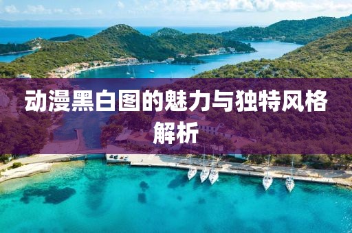 动漫黑白图的魅力与独特风格解析