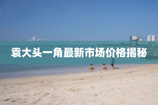 袁大头一角最新市场价格揭秘