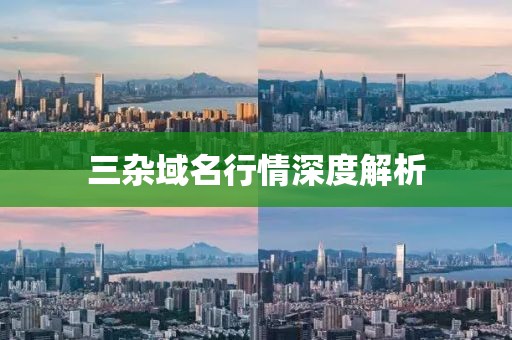 三杂域名行情深度解析