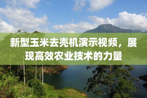 新型玉米去壳机演示视频，展现高效农业技术的力量
