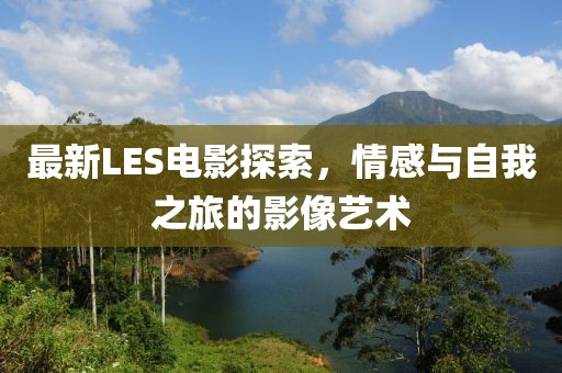 最新LES电影探索，情感与自我之旅的影像艺术