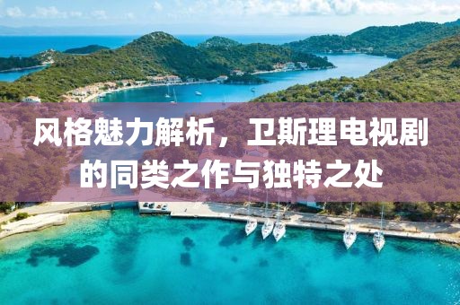 风格魅力解析，卫斯理电视剧的同类之作与独特之处