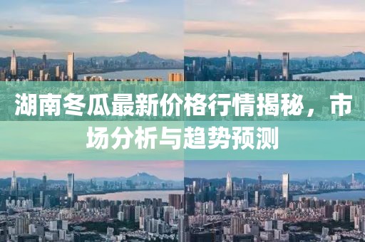 湖南冬瓜最新价格行情揭秘，市场分析与趋势预测