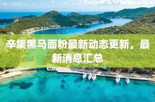 辛集黑马面粉最新动态更新，最新消息汇总