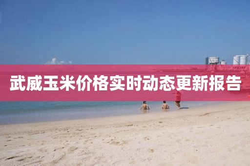 武威玉米价格实时动态更新报告