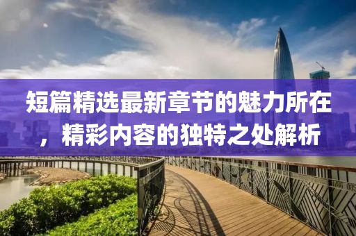 短篇精选最新章节的魅力所在，精彩内容的独特之处解析