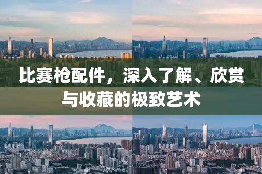 比赛枪配件，深入了解、欣赏与收藏的极致艺术