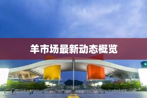 羊市场最新动态概览