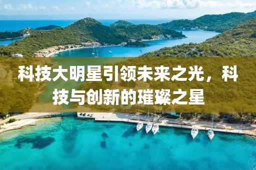 科技大明星引领未来之光，科技与创新的璀璨之星