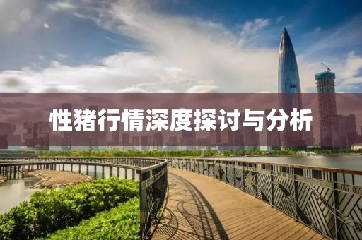 性猪行情深度探讨与分析