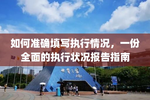 如何准确填写执行情况，一份全面的执行状况报告指南