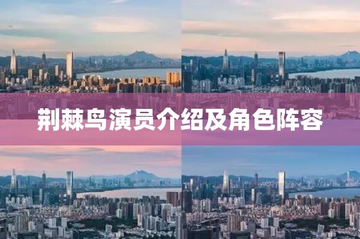 荆棘鸟演员介绍及角色阵容