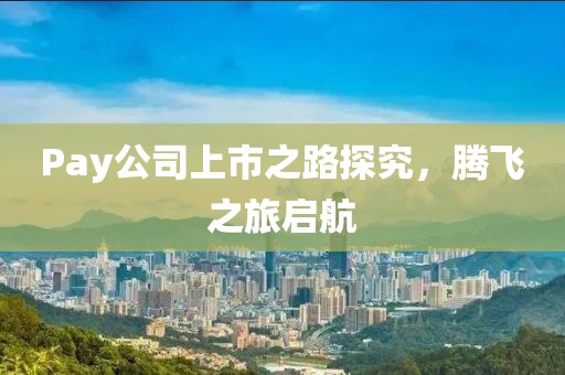 Pay公司上市之路探究，腾飞之旅启航