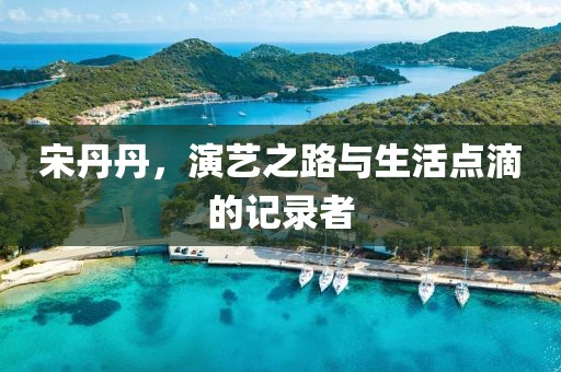 宋丹丹，演艺之路与生活点滴的记录者