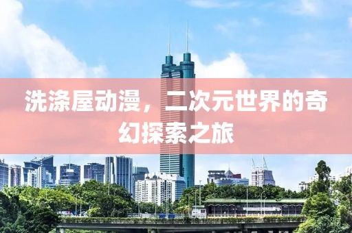 洗涤屋动漫，二次元世界的奇幻探索之旅