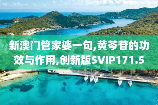新澳门管家婆一句,黄芩苷的功效与作用,创新版SVIP171.5