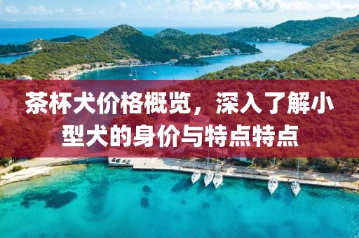 茶杯犬价格概览，深入了解小型犬的身价与特点特点