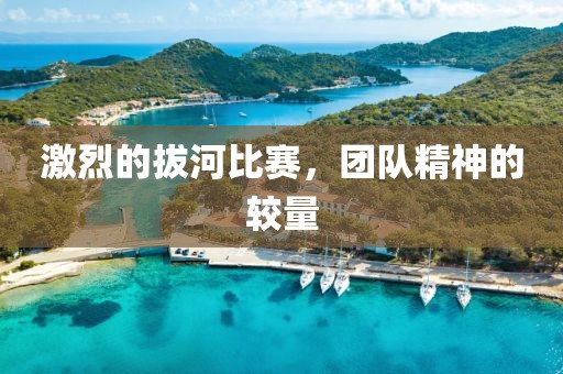 激烈的拔河比赛，团队精神的较量