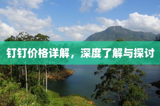 钉钉价格详解，深度了解与探讨