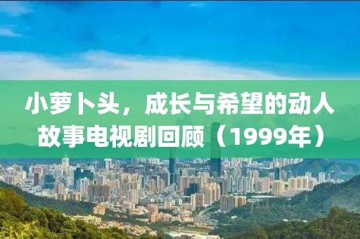 小萝卜头，成长与希望的动人故事电视剧回顾（1999年）