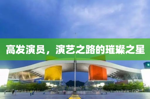 高发演员，演艺之路的璀璨之星