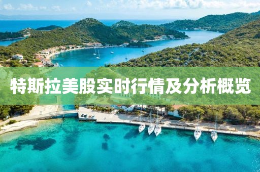 特斯拉美股实时行情及分析概览