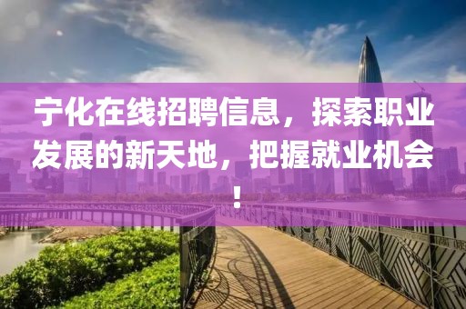 宁化在线招聘信息，探索职业发展的新天地，把握就业机会！