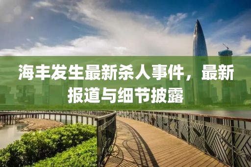 海丰发生最新杀人事件，最新报道与细节披露