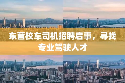 东营校车司机招聘启事，寻找专业驾驶人才