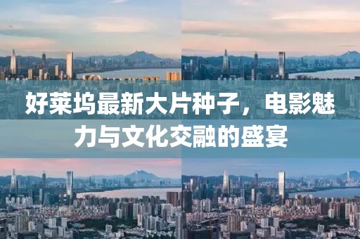 好莱坞最新大片种子，电影魅力与文化交融的盛宴