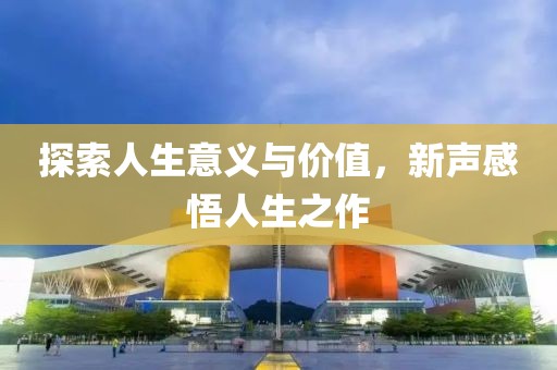 探索人生意义与价值，新声感悟人生之作
