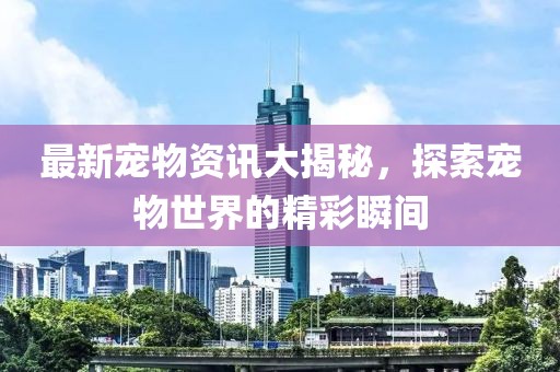 最新宠物资讯大揭秘，探索宠物世界的精彩瞬间