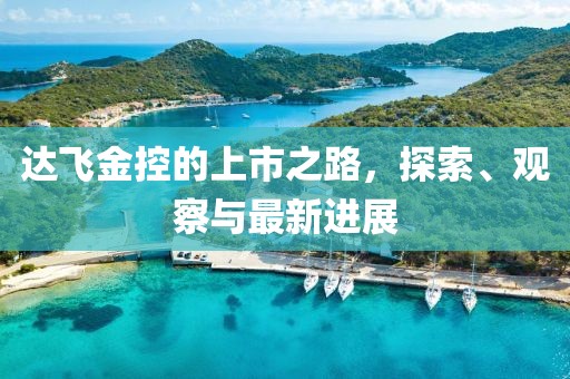 达飞金控的上市之路，探索、观察与最新进展
