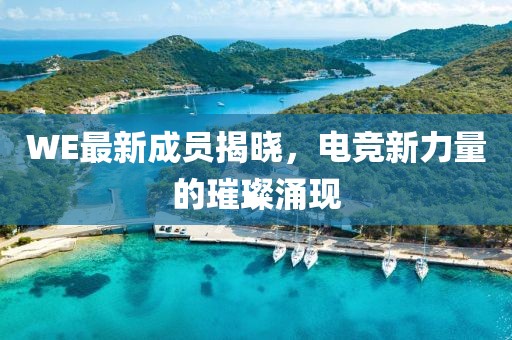 巴香卉 第2页