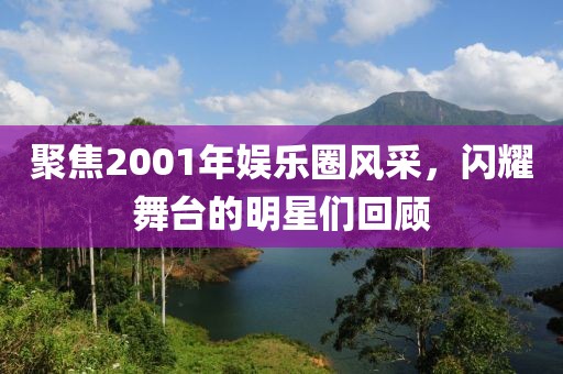 聚焦2001年娱乐圈风采，闪耀舞台的明星们回顾