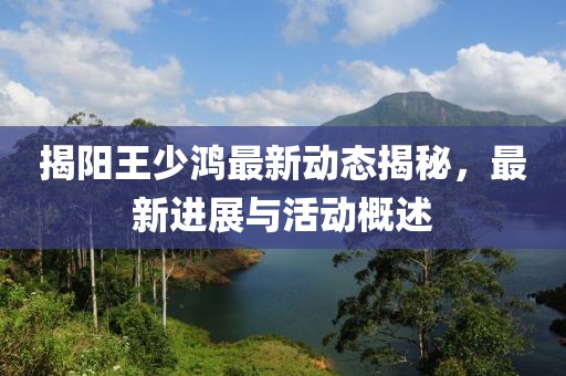 揭阳王少鸿最新动态揭秘，最新进展与活动概述