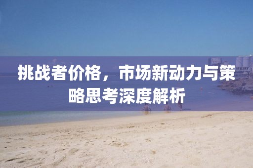 挑战者价格，市场新动力与策略思考深度解析