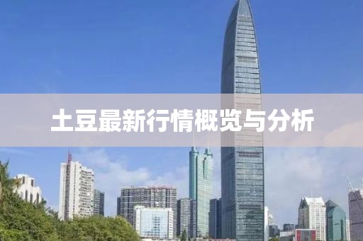 土豆最新行情概览与分析
