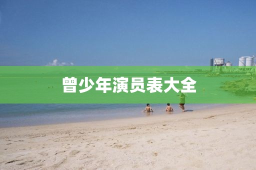 曾少年演员表大全